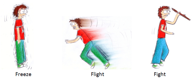 flight fight freeze RK